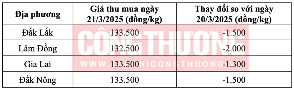 Tham khảo giá cà phê hôm nay ngày 21/3/2025 tại khu vực Tây Nguyên