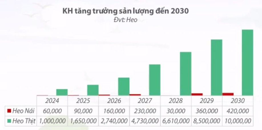 BaF Việt Nam