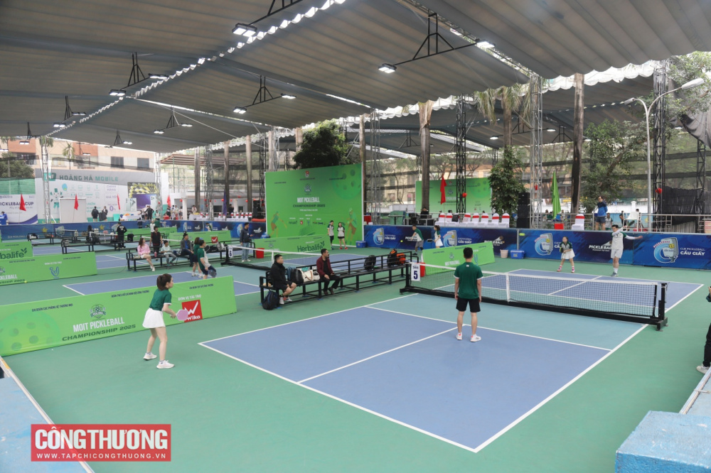 Giải đấu MOIT Pickleball Championship 2025