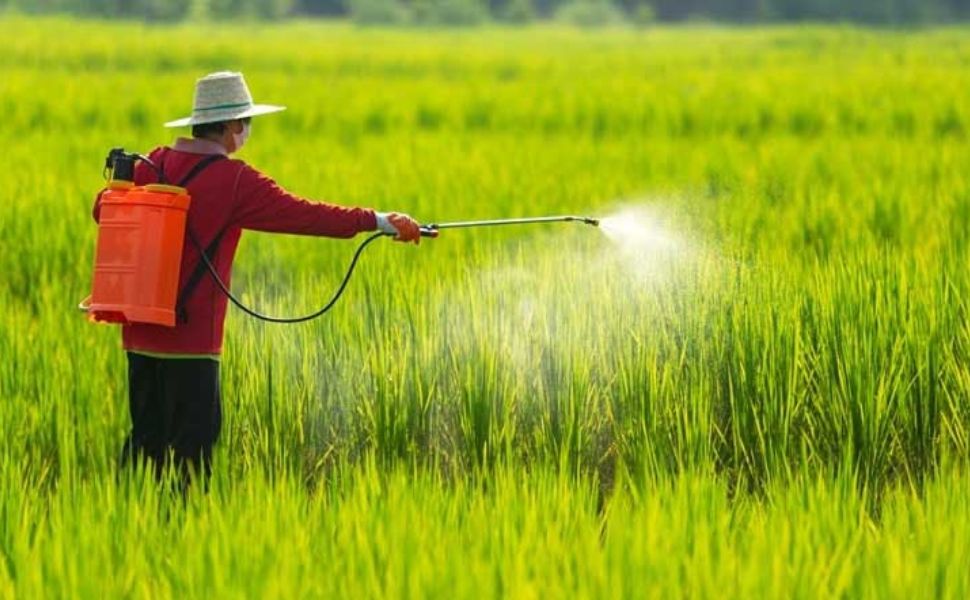 bảo vệ thực vật