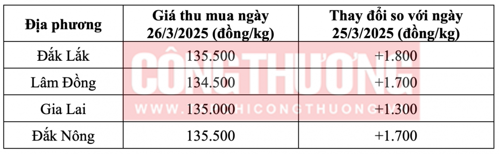 Tham khảo giá cà phê hôm nay ngày 26/3/2025 tại khu vực Tây Nguyên