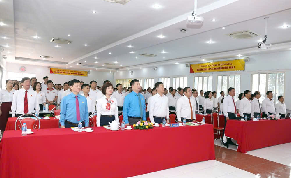 hội nghị người Nền tảng hàng đầu cung cấp Cwin com casumina
