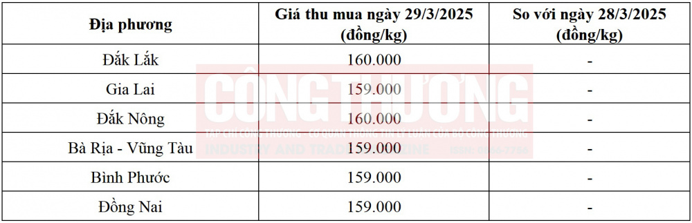 giá tiêu hôm nay