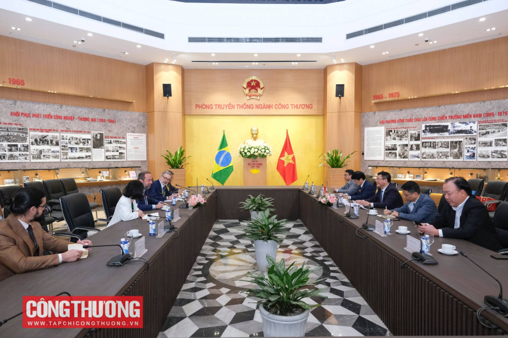 Việt Nam hoan nghênh và cảm ơn thiện chí của Brazil đã công nhận quy chế kinh tế thị trường của Việt Nam