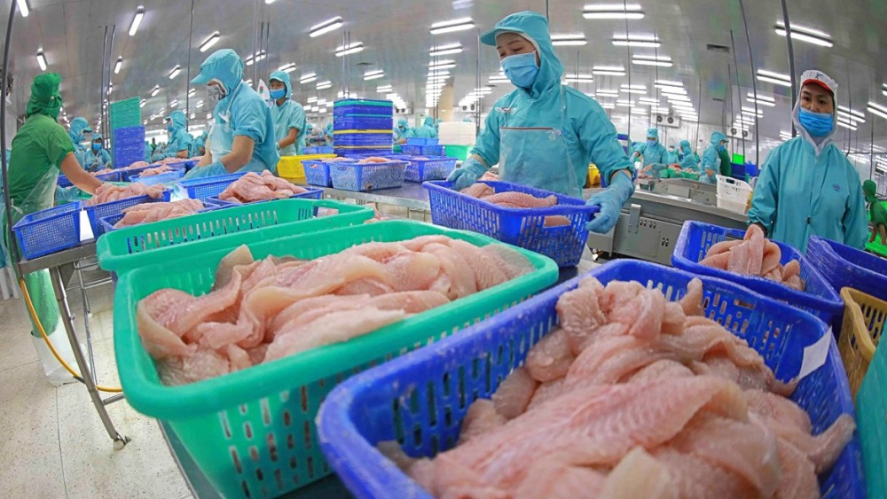 Cwin com sòng bạc trực tuyến thuỷ sản