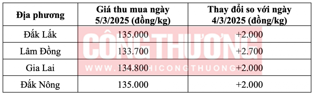 Tham khảo giá cà phê hôm nay ngày 5/3/2025 tại khu vực Tây Nguyên
