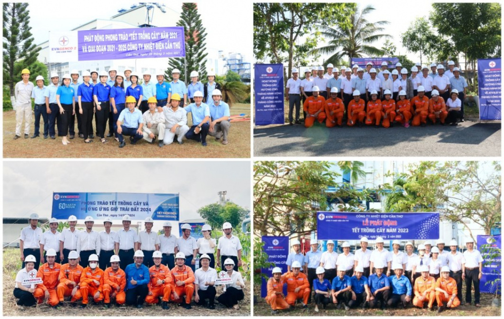 trồng cây nhiệt điện Cần Thơ