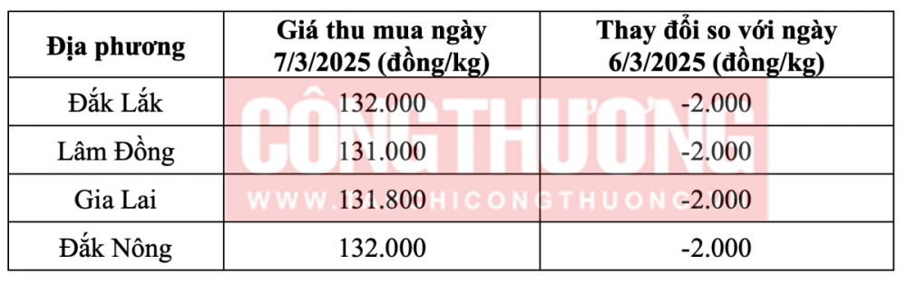 Tham khảo giá cà phê hôm nay ngày 7/3/2025 tại khu vực Tây Nguyên