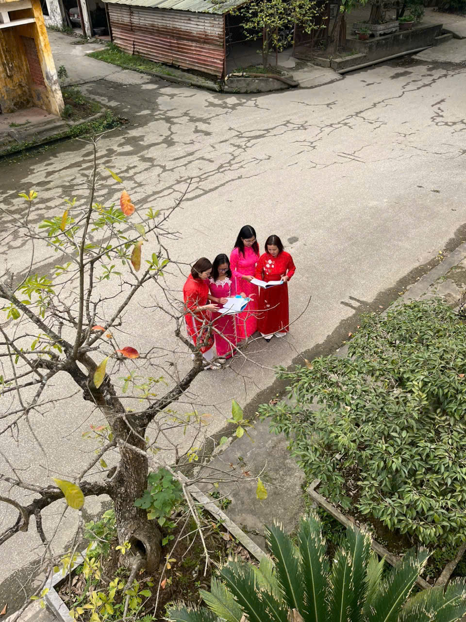ao dai vnsteel