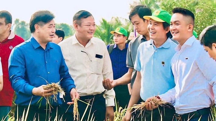 Canh tác lúa