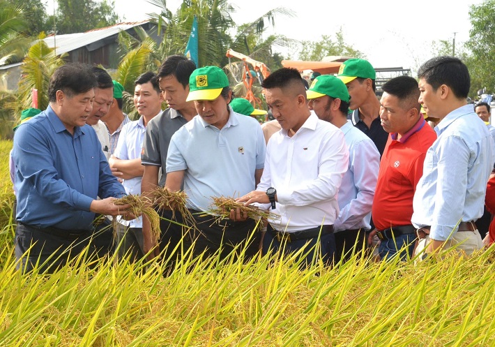 Canh tác lúa