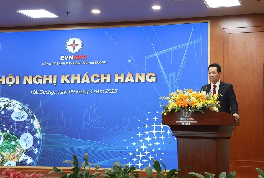 Tổng công ty Điện lực miền Bắc