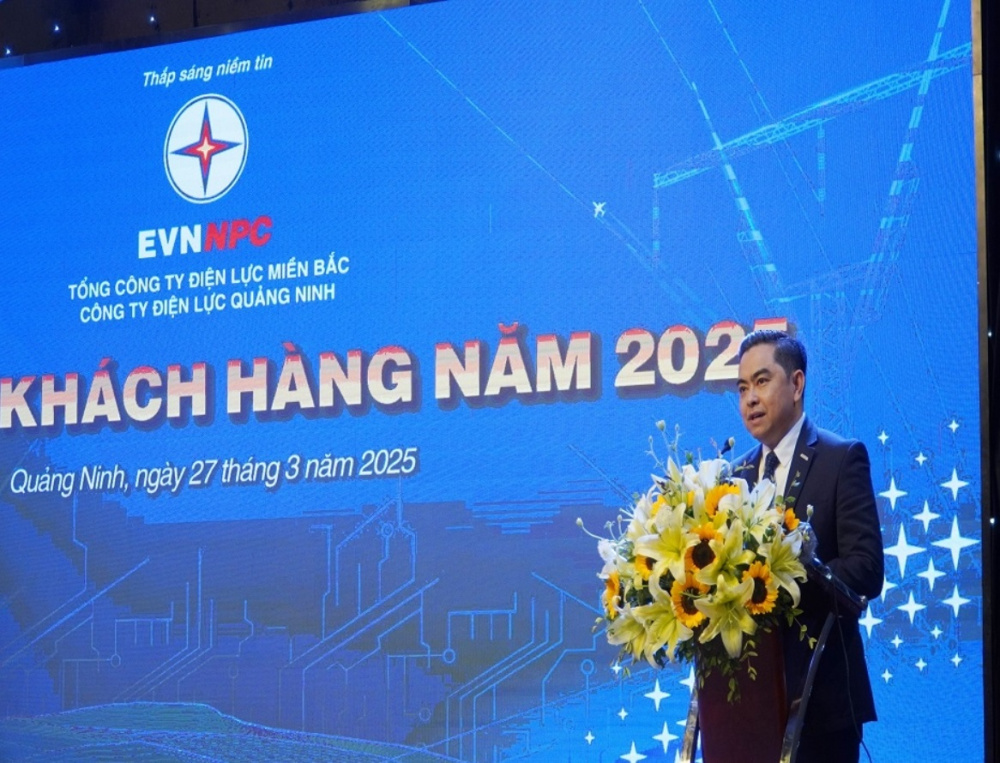 Tổng công ty Điện lực miền Bắc