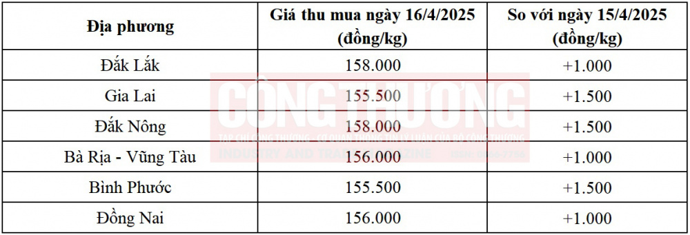 giá tiêu hôm nay