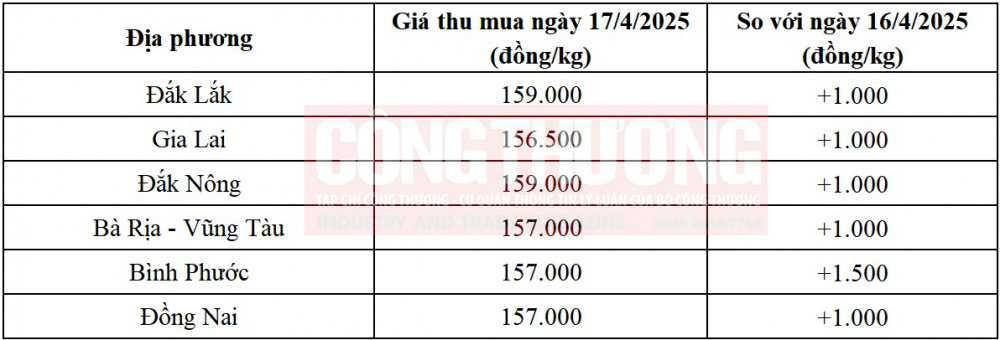 giá tiêu hôm nay