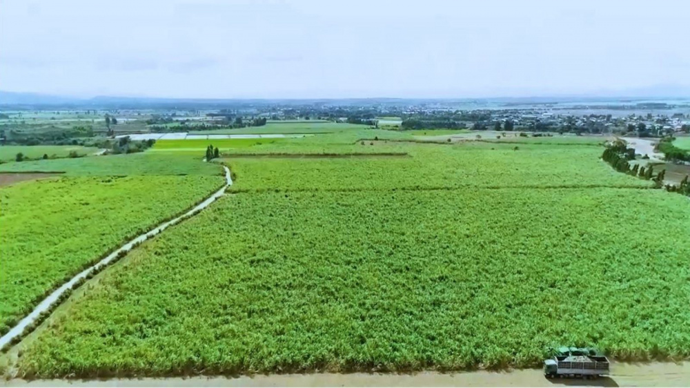 Nhà máy Đường An Khê
