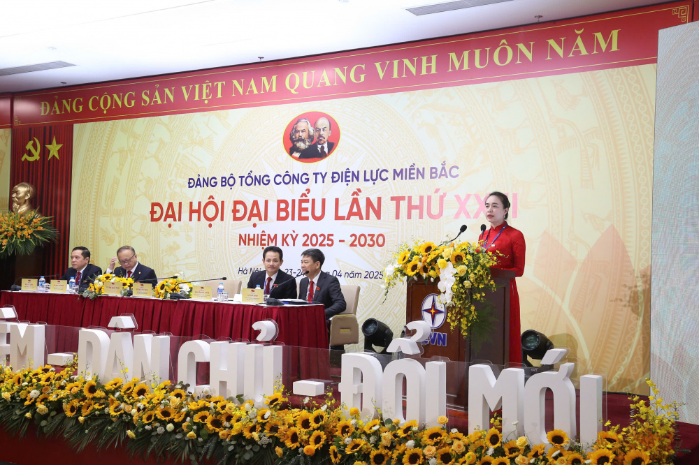 Đại hội đại biểu Đảng bộ Tổng công ty Điện lực miền Bắc