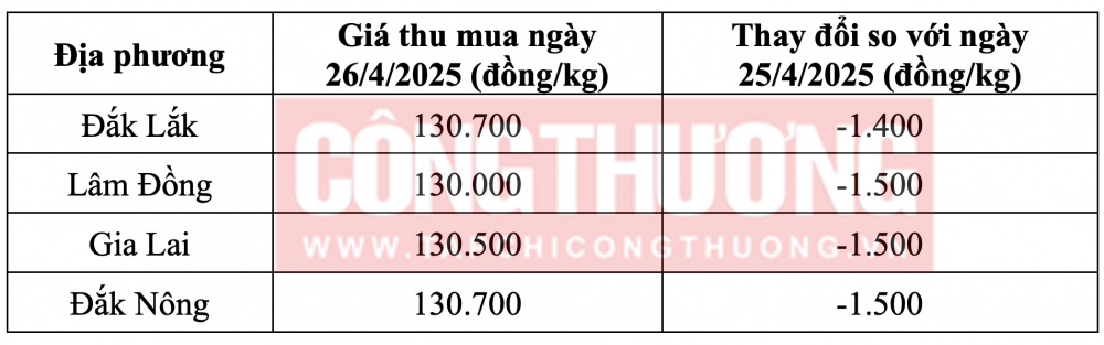 Tham khảo giá cà phê hôm nay ngày 26/4/2025 tại khu vực Tây Nguyên