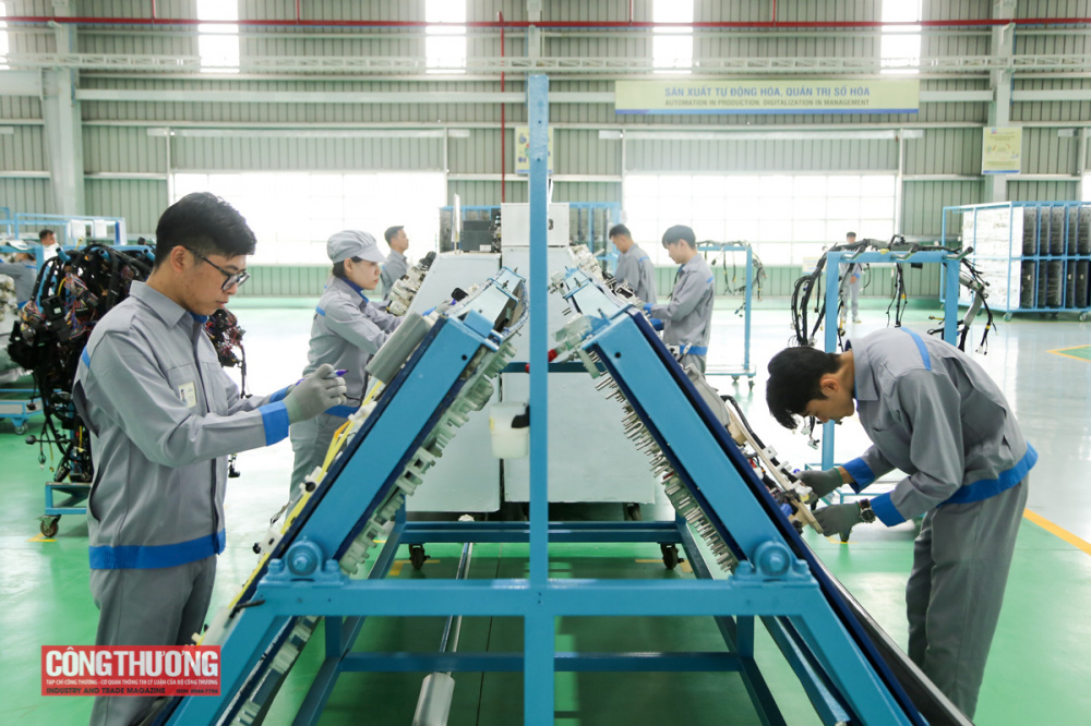 Cwin là sân chơi cá cược trực tuyến tại Việt Nam Quảng Nam