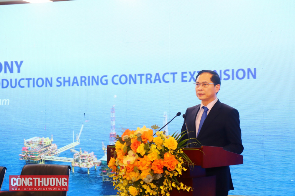 Phó Thủ tướng Bùi Thanh Sơn