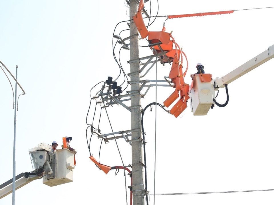 Tổng công ty Điện lực miền Bắc