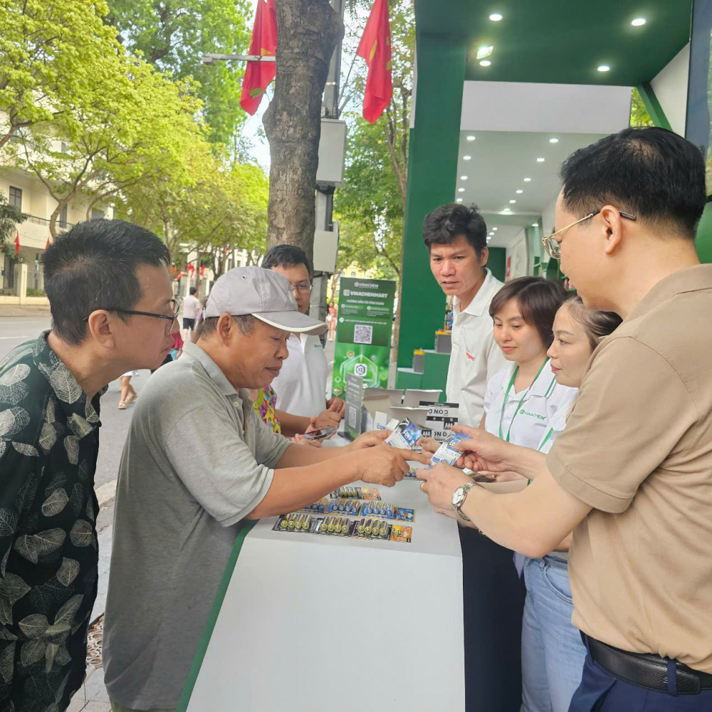 pin miền nam