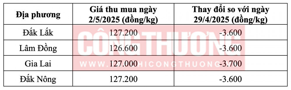 Tham khảo giá cà phê hôm nay ngày 2/5/2025 tại khu vực Tây Nguyên
