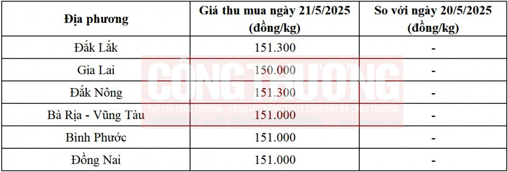 giá tiêu hôm nay