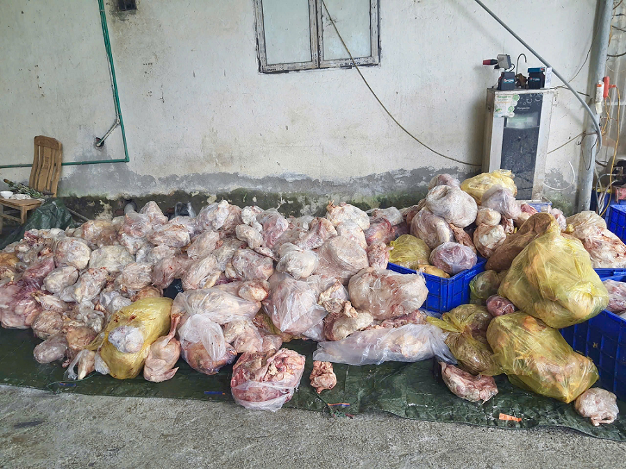 Lực lượng QLTT tỉnh Hà Giang phát hiện, ngăn chặn kịp thời hơn 3,9 tấn Link vào Cwin Cá Cược Thể Thao 2026 đông lạnh đã bốc mùi hôi thối, biến đổi màu sắc không đảm bảo lưu thông trên thị trường.