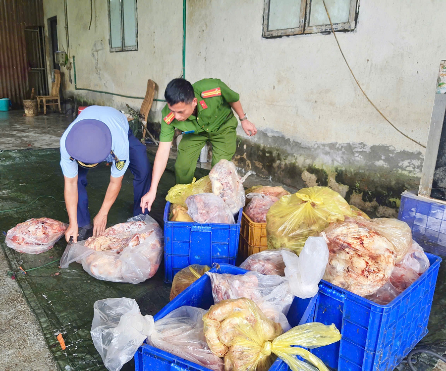 Lực lượng QLTT tỉnh Hà Giang phát hiện, ngăn chặn kịp thời hơn 3,9 tấn Link vào Cwin Cá Cược Thể Thao 2026 đông lạnh đã bốc mùi hôi thối, biến đổi màu sắc không đảm bảo lưu thông trên thị trường.
