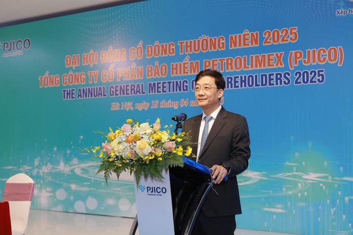 kết quả kinh doanh pjico