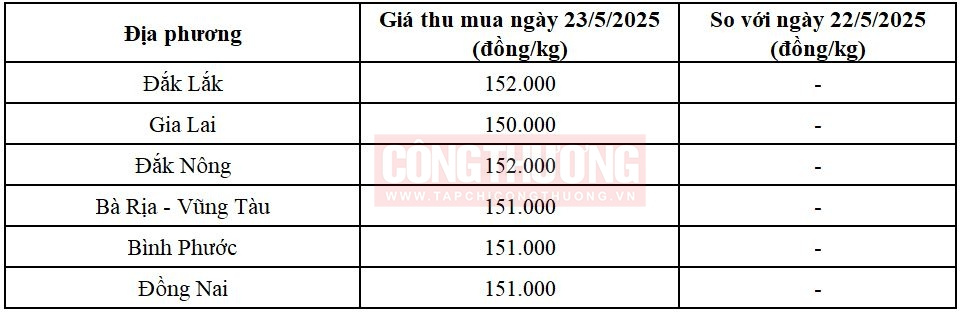 giá tiêu hôm nay