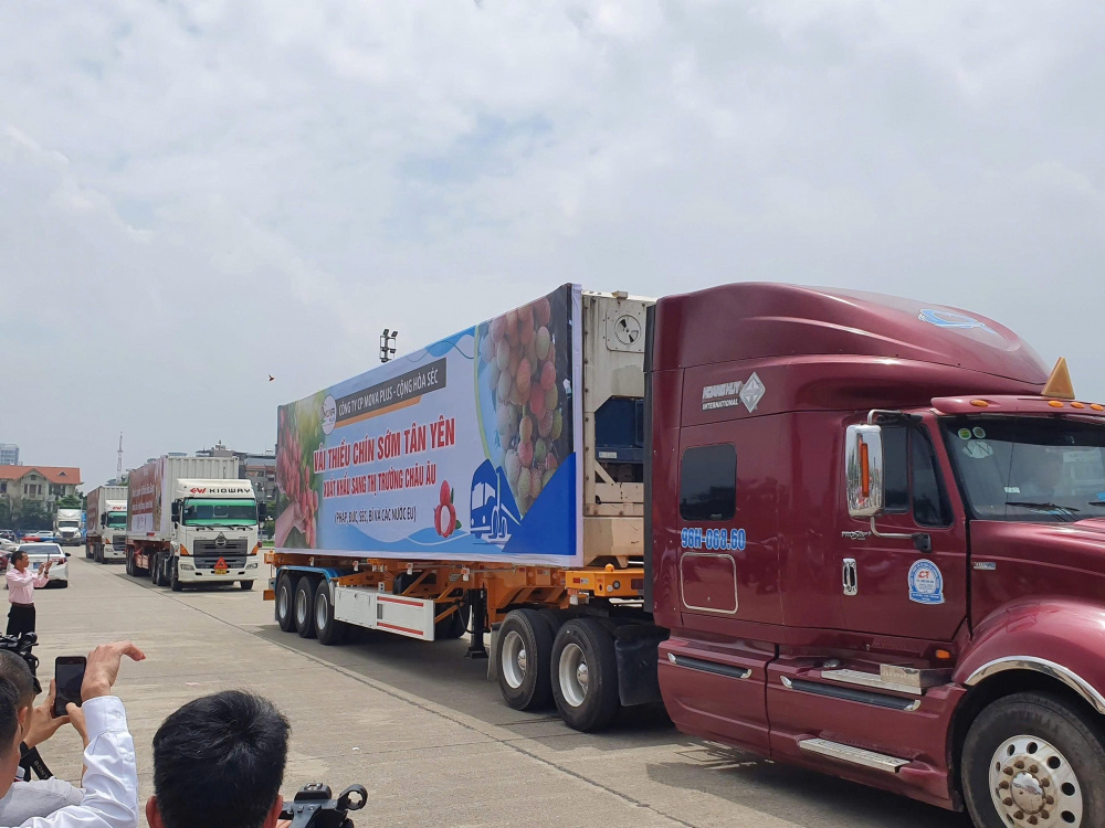 Bắc Giang khẳng định vị thế trung tâm nông sản chất lượng cao, sẵn sàng cho vụ vải thiều 2025