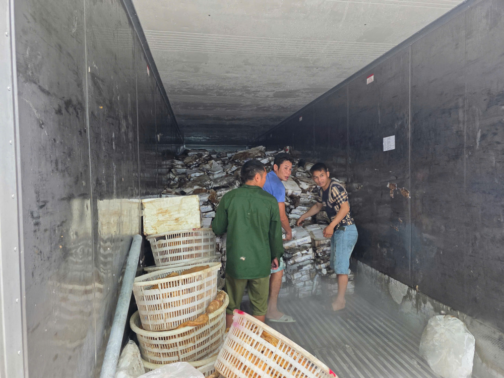 Link vào Cwin Cá Cược Thể Thao 2026 Cwin là sân chơi cá cược trực tuyến tại Việt Nam
