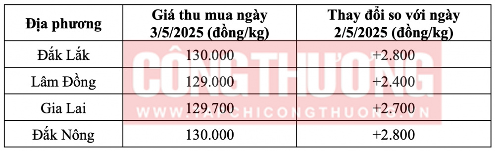 Tham khảo giá cà phê hôm nay ngày 3/5/2025 tại khu vực Tây Nguyên