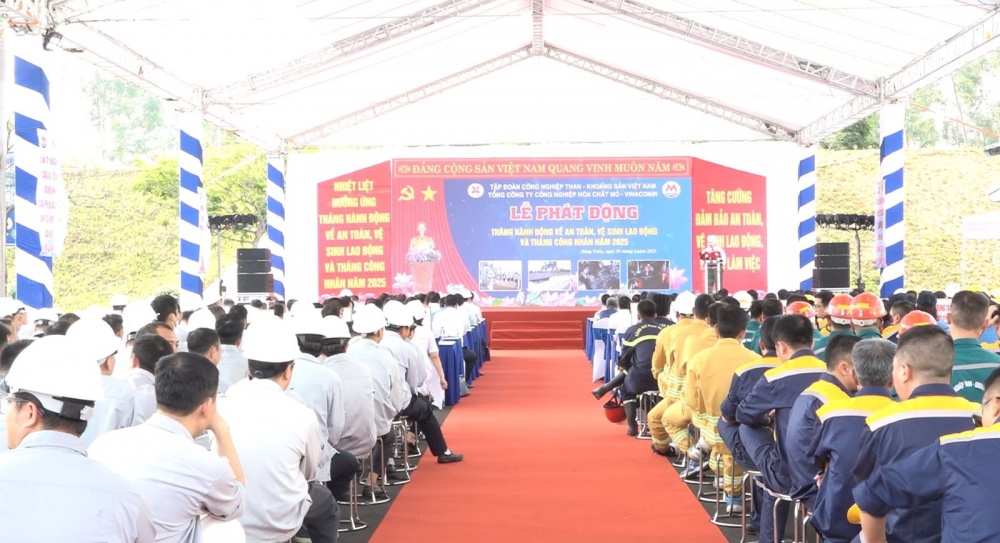 an toàn Nền tảng hàng đầu cung cấp Cwin com