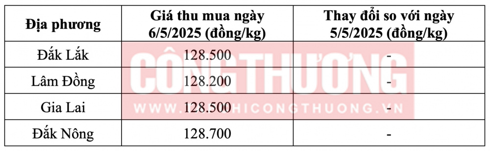 Tham khảo giá cà phê hôm nay ngày 6/5/2025 tại khu vực Tây Nguyên