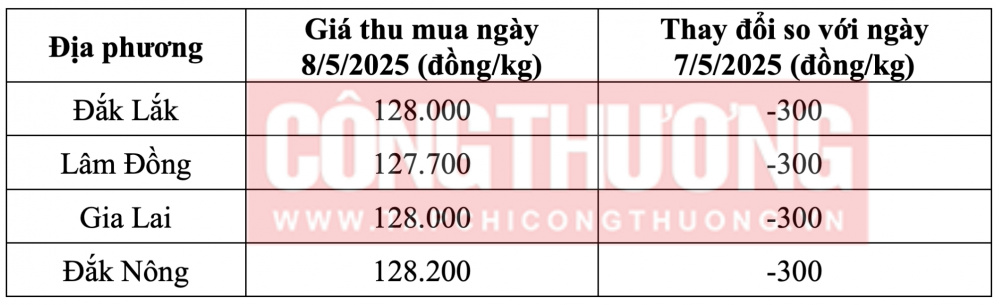 Tham khảo giá cà phê hôm nay ngày 8/5/2025 tại khu vực Tây Nguyên