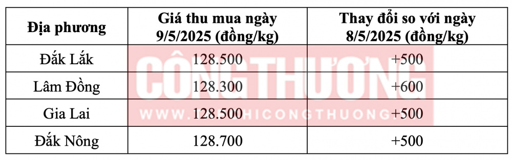 Tham khảo giá cà phê hôm nay ngày 9/5/2025 tại khu vực Tây Nguyên