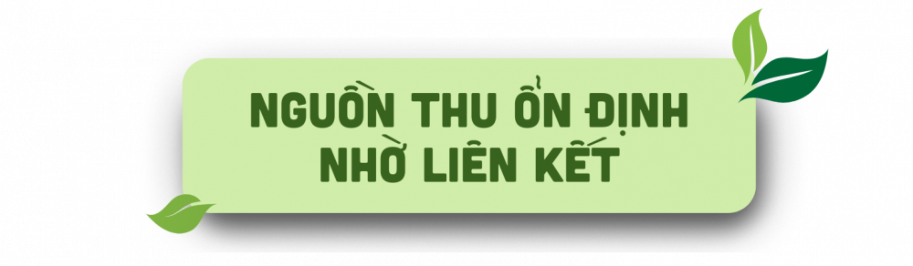 thìa canh 2