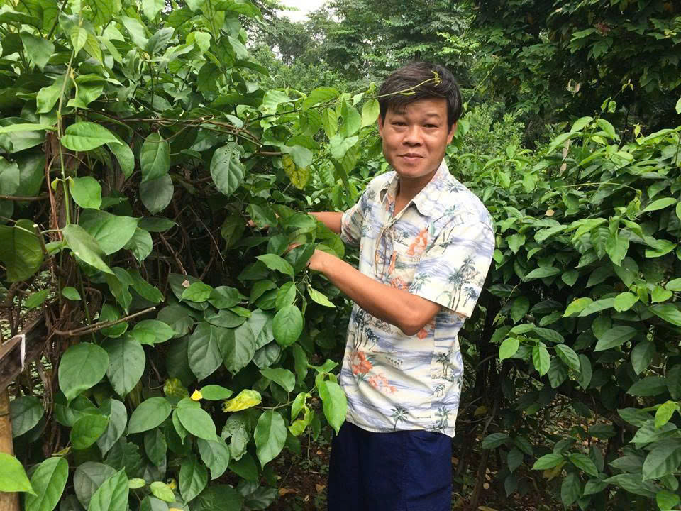 giáo sư trần văn ơn