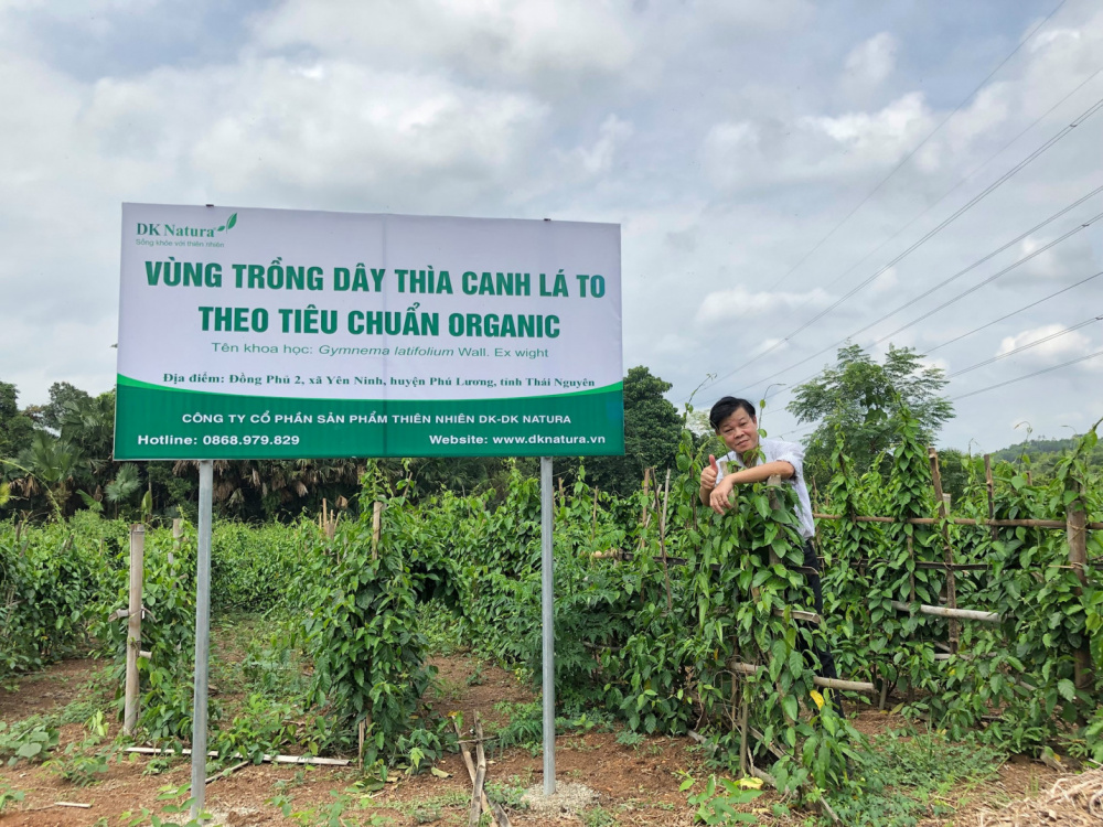 thìa canh a