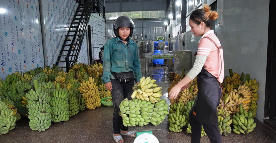 hợp tác xã