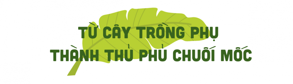 chuối mốc 1