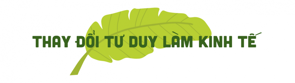 chuối mốc 2