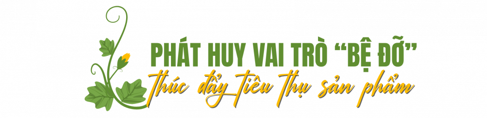 tiêu thụ bí xanh
