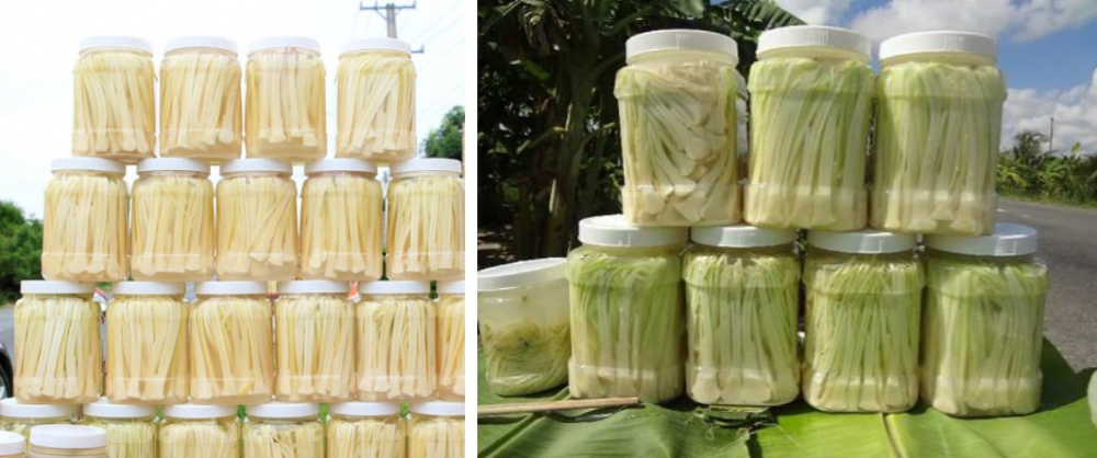 bồn bồn mỹ tú