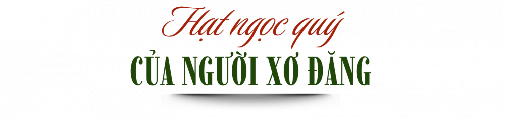 gạo đỏ 1