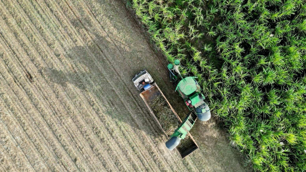 TTC AgriS