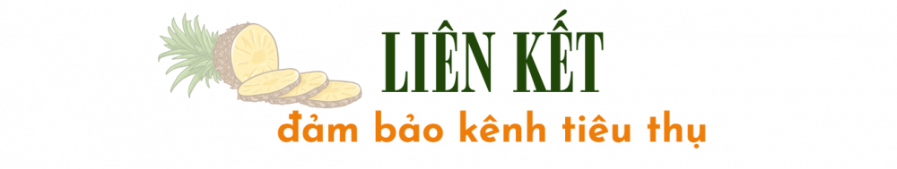 liên kết